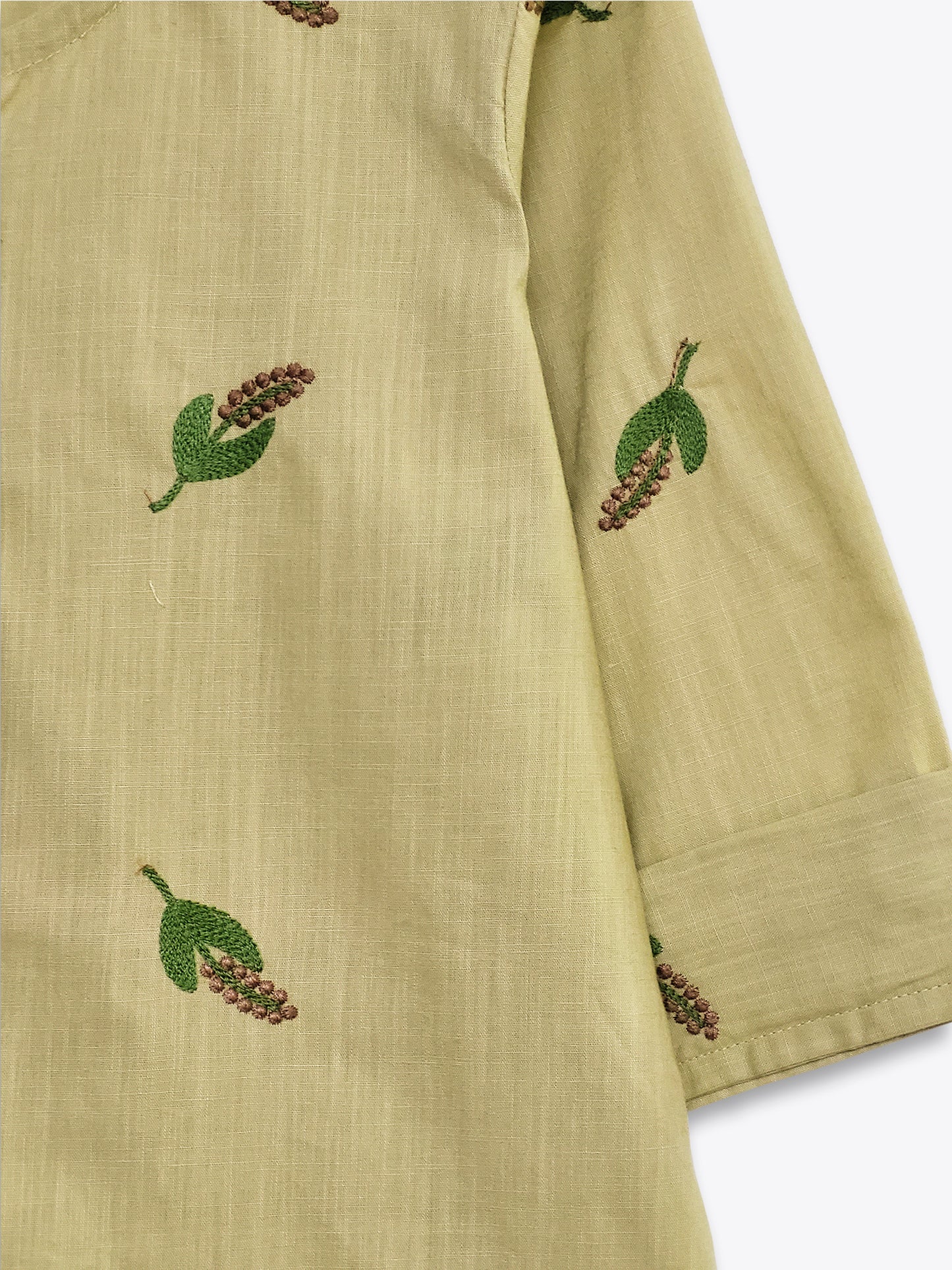 Chikoo Embroidered Cotton Top