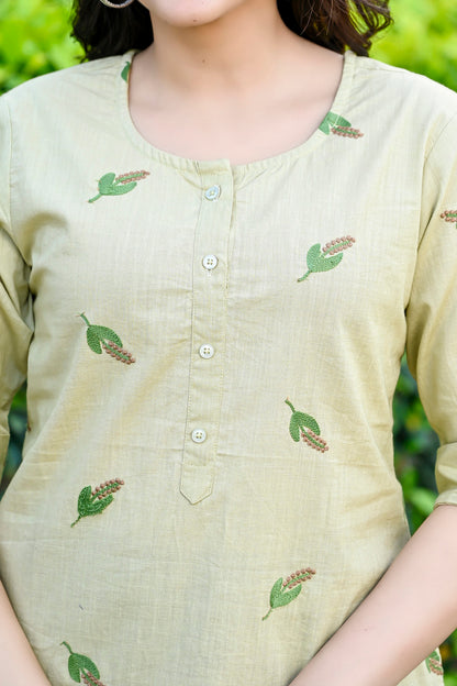 Chikoo Embroidered Cotton Top